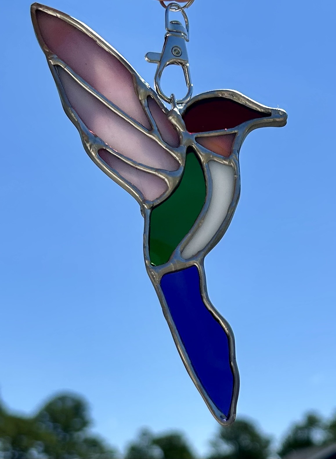 Purple wings, a green body and a blue tail against the sky.